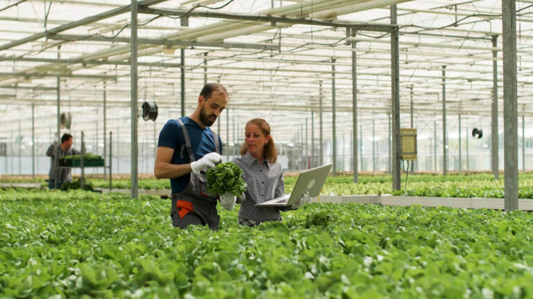 Reglementările de mediu NU mai pot fi ignorate! Ce industrii din România sunt nevoite să adopte practici sustenabile