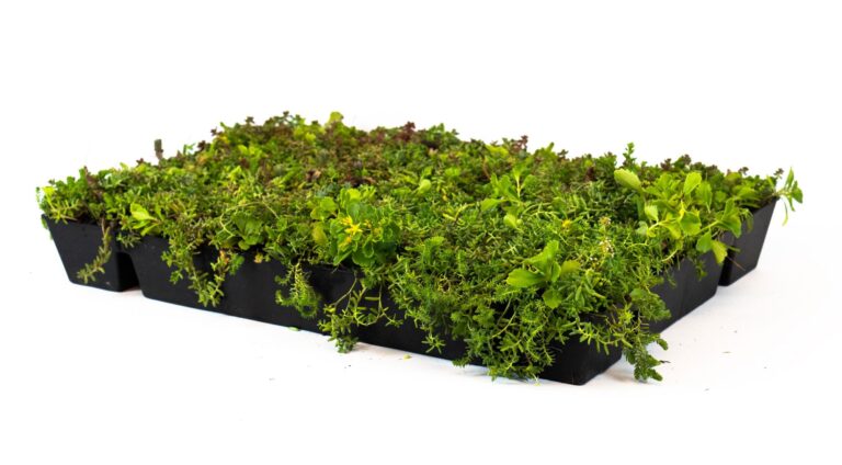 11-woonbewust-sedum-casette-v2