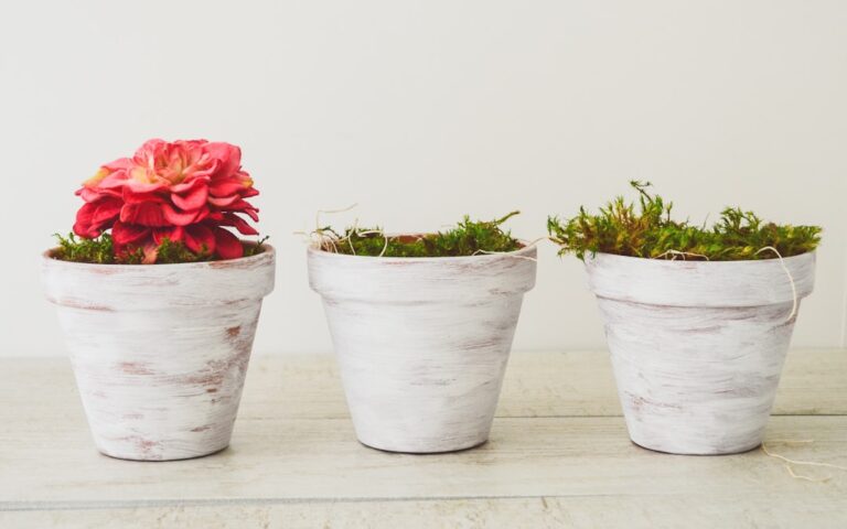 Photo DIY Home Decor
