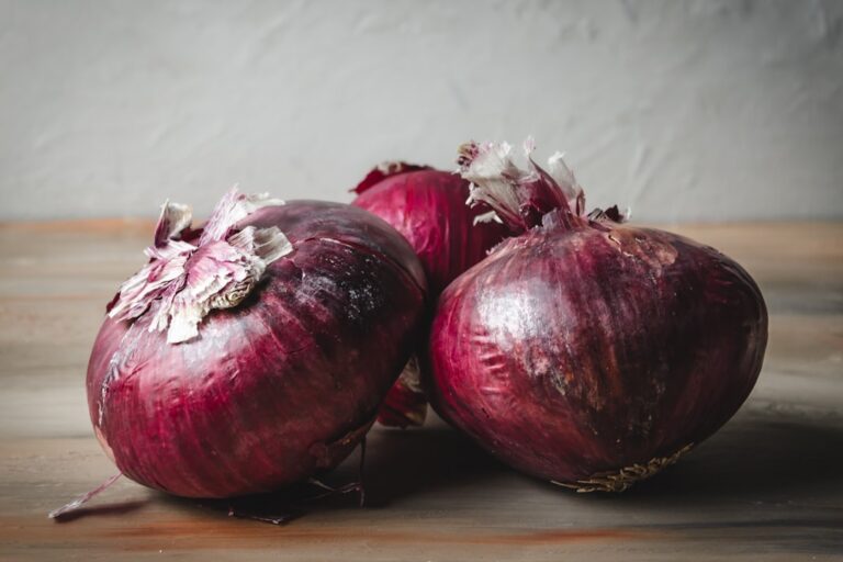 Photo Seasonal produce