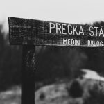 Photo melodii care te fac să visezi