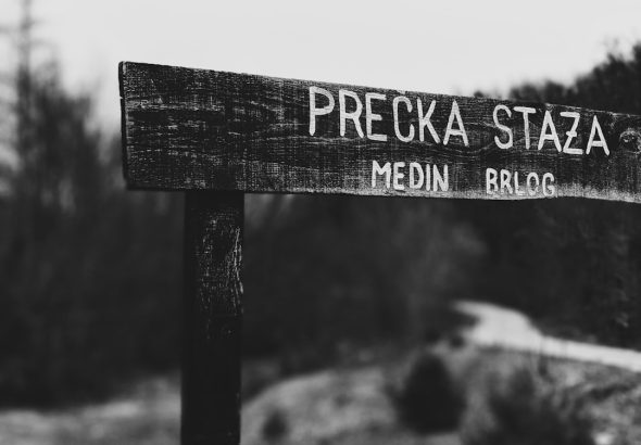 Photo melodii care te fac să visezi