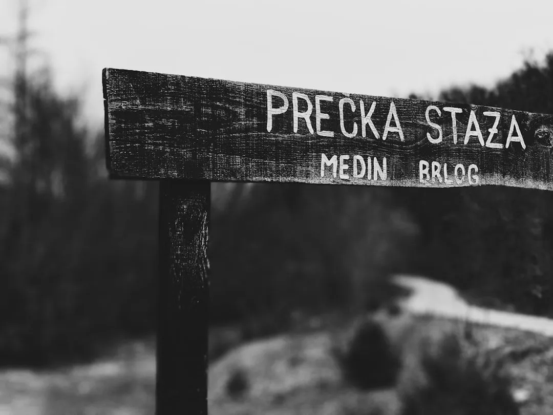 Photo melodii care te fac să visezi
