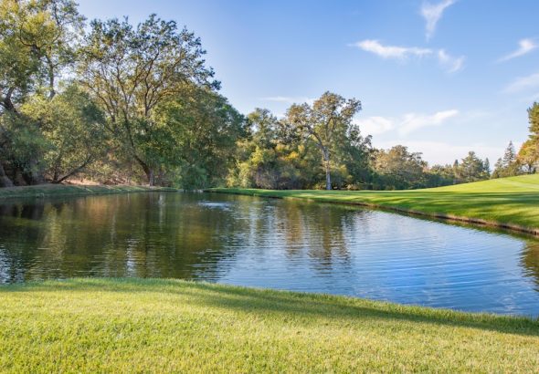 Photo cultural events Cluj-Napoca