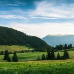 Photo versuri