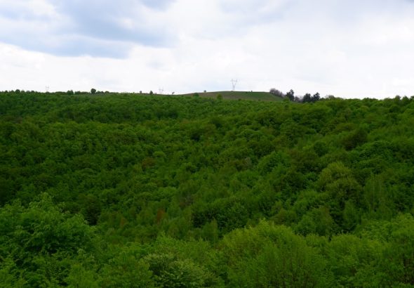 Photo hiking trails Cluj Făget Hoia
