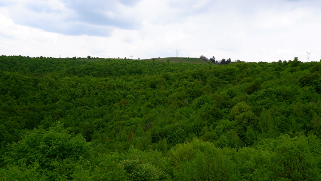 Photo hiking trails Cluj Făget Hoia