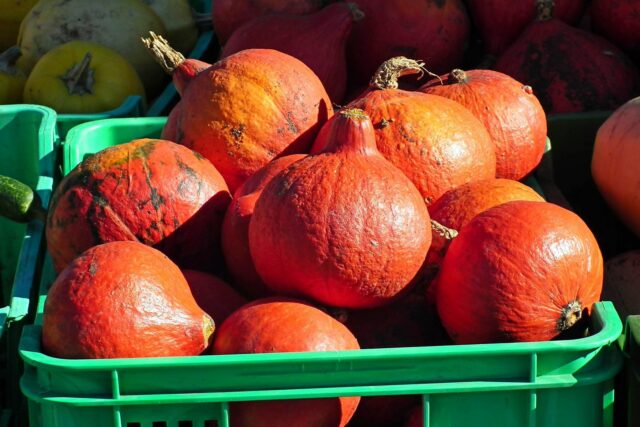 Alimentația de toamnă: ce alimente locale sprijină imunitatea