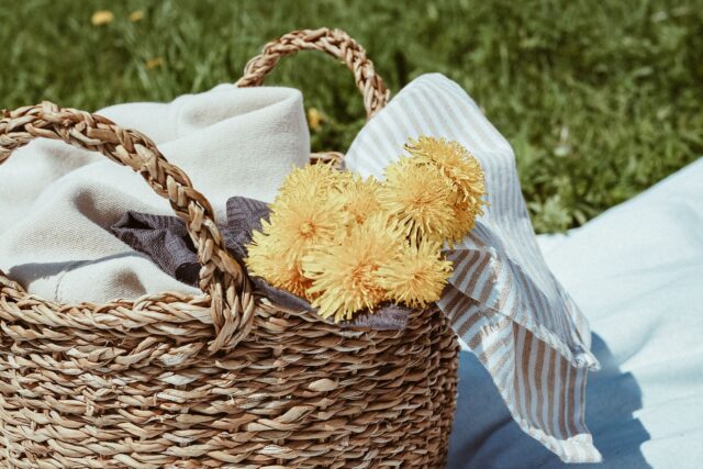 Cele mai bune locuri pentru picnic în împrejurimile Clujului