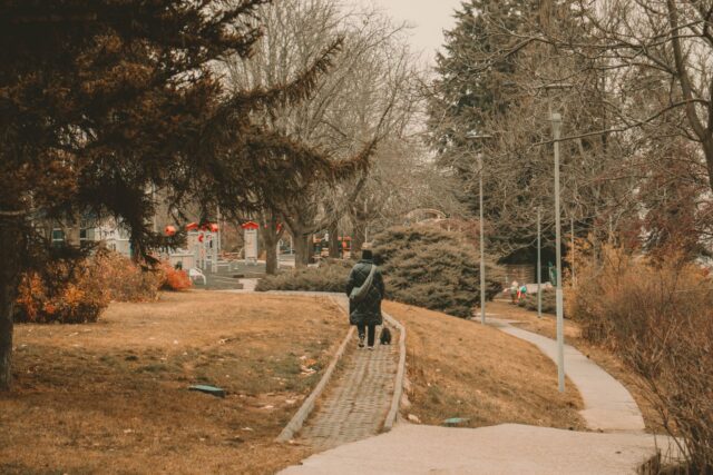 Persoană care merge în ritm alert pe o alee dintr-un parc urban, într-o zi de toamnă