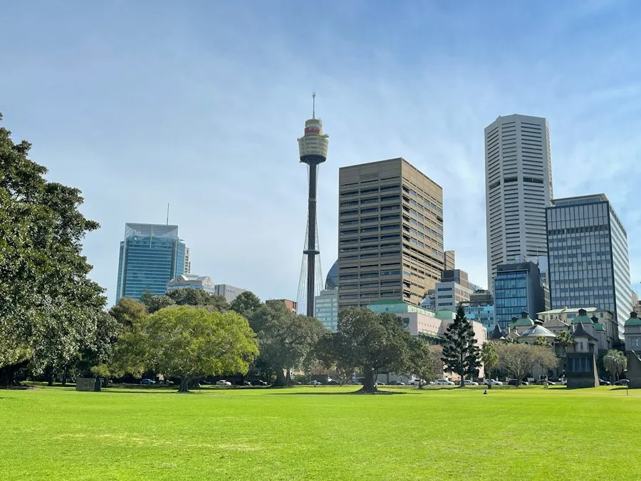 Photo urban parks and green spaces city