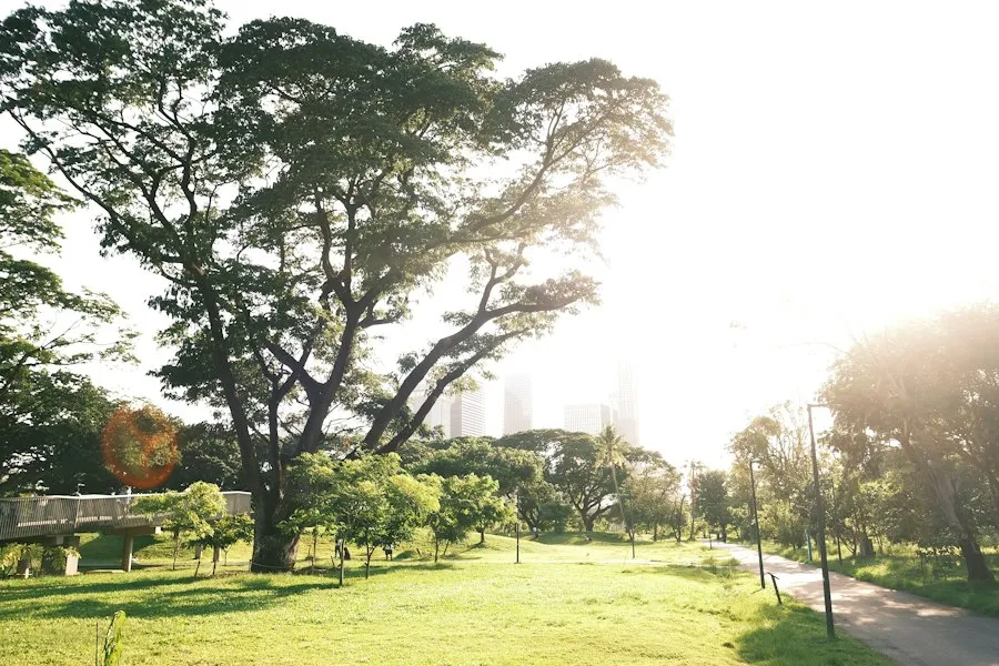 urban parks and green spaces city