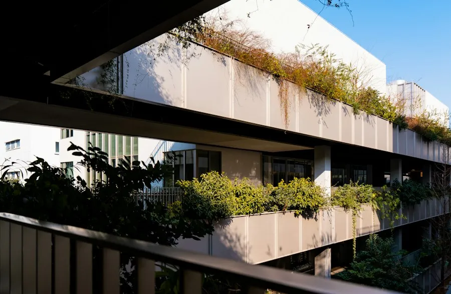 Photo urban green spaces mistakes